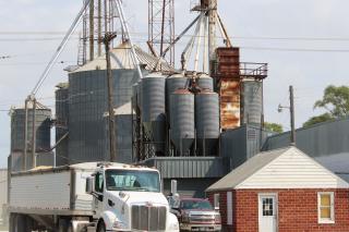 Grain elevator