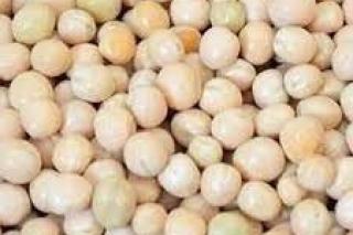 Dried Peas