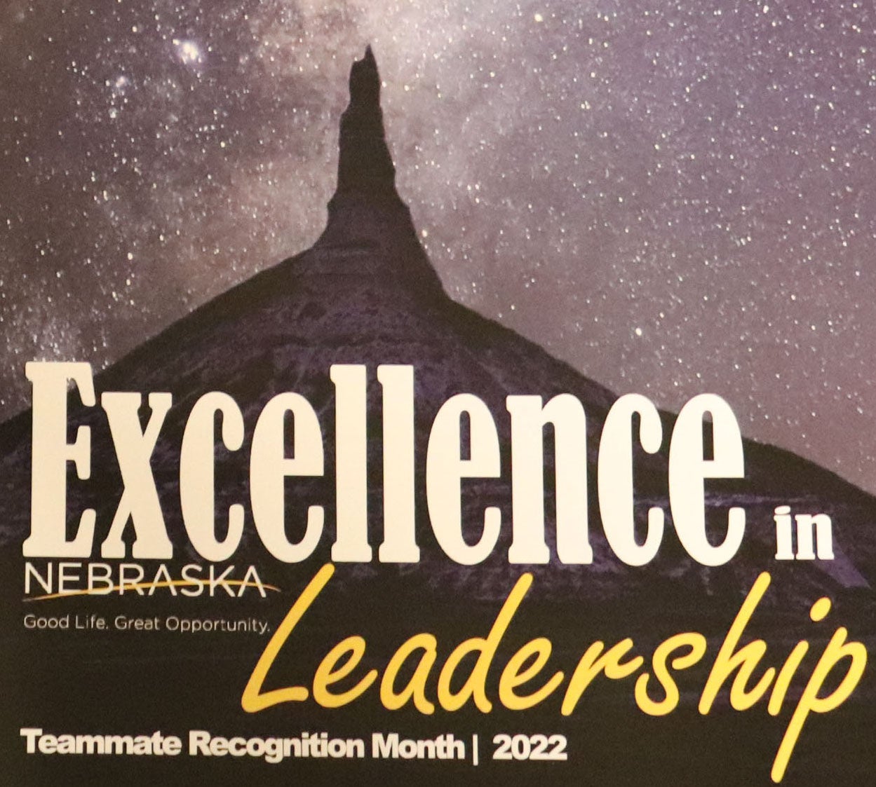 Excellence in Leadership Award