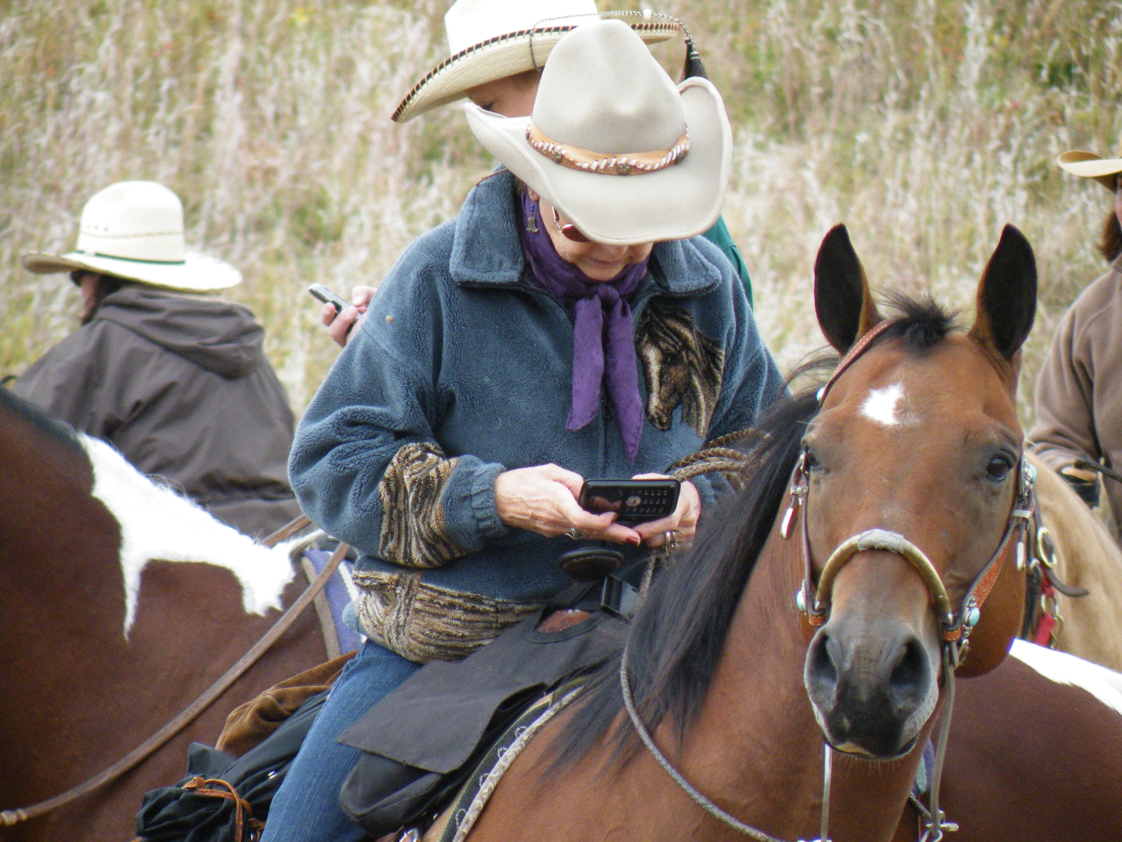 Cells on Horseback